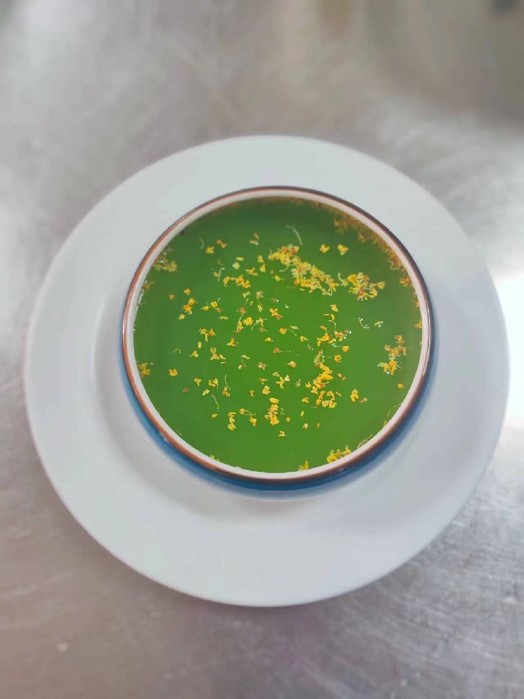 中医药研学---铁皮石斛冻