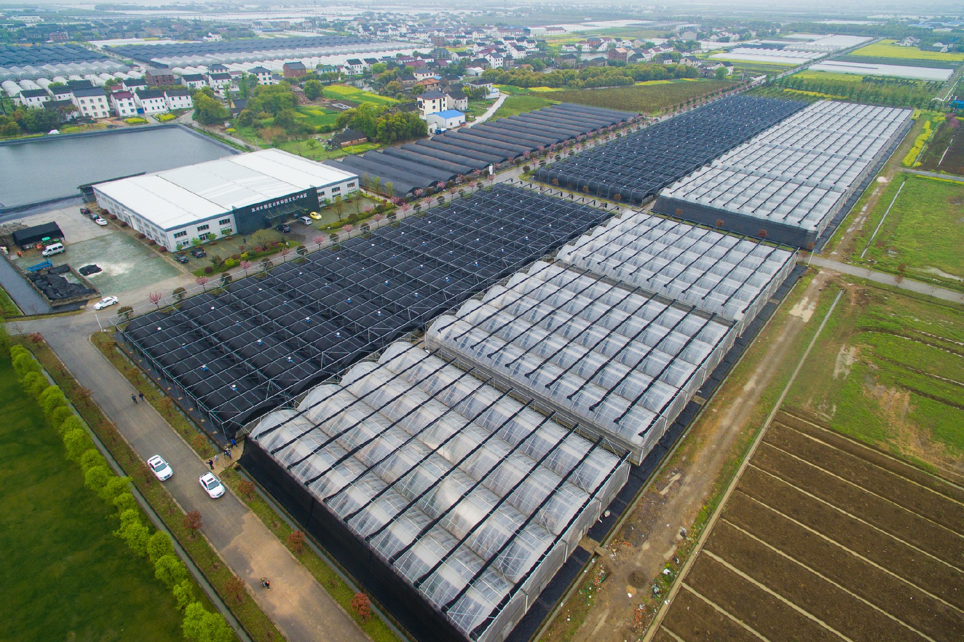 有机石斛种植基地